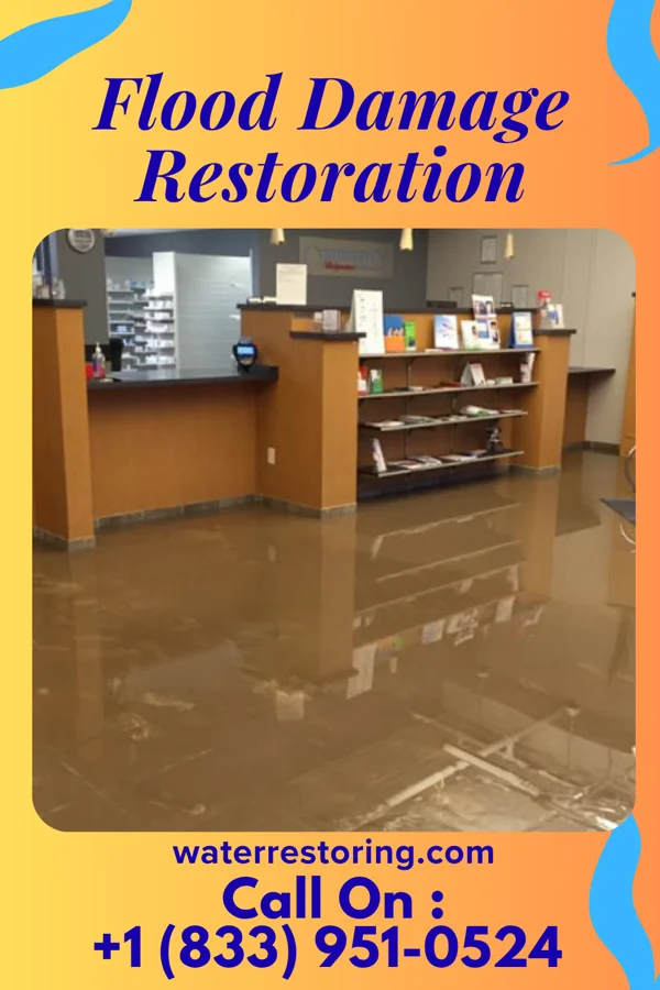 Flood Damage Restoration in Carnesville, GA