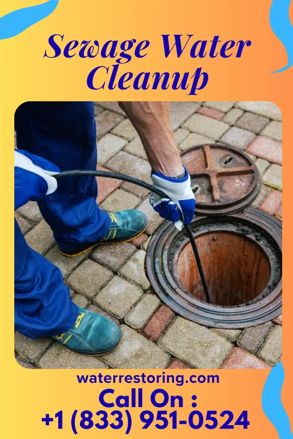 Sewage Water Cleanup in Carnesville, GA